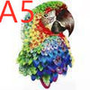 Colorful parrot art made from layered feathers, featuring vibrant reds, greens, blues, and yellows.