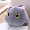 Soft plush fat cat doll with cute chubby design and vibrant colors, perfect stuffed animal pillow toy for cat lovers and comfy decor.