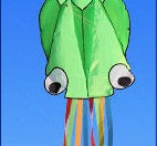 Vibrant green 3D octopus kite with colorful tails against a clear blue sky