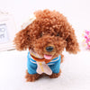 Electronic poodle toy in blue outfit with a bow, designed for singing, walking, and dancing, perfect for interactive play and gifts.