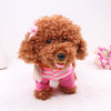 Electronic poodle toy in pink outfit, designed to sing, walk, and dance; perfect interactive play gift for kids.