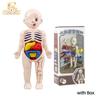 3D Human Organs Anatomy Puzzle Toy with Box, Montessori STEM Educational Play for Kids