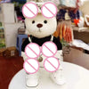 Little Bear Plush Doll with changeable clothes, sitting on a table, featuring a kawaii-style design perfect for children and collectors.