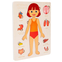 Kids wooden Montessori human body puzzle with organs, brain, heart, lungs, stomach. Educational anatomy toy for interactive learning.