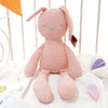 Adorable kawaii bunny plush rabbit doll on a white background, perfect cuddly toy for babies and toddlers, made with soft plush fabric.