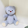 Little Bear Plush Doll with changeable clothes, crafted from soft plush fabric, perfect for cuddling and playtime.