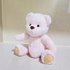 Little bear plush doll with soft fabric, ideal for cuddling. Features changeable clothes for dress-up fun and creative play.