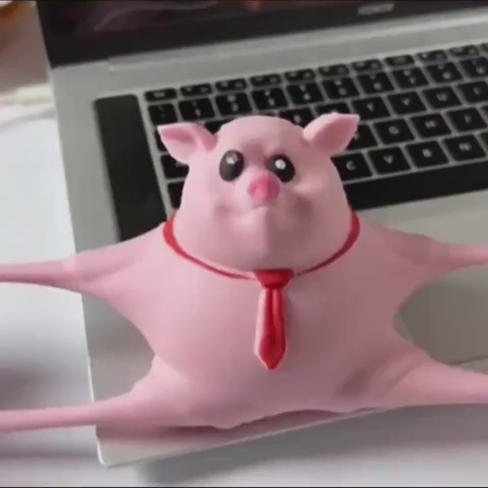 piggy stress relief toy video