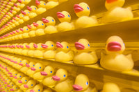 Wall of yellow rubber ducks with orange beaks, displayed in neat rows.